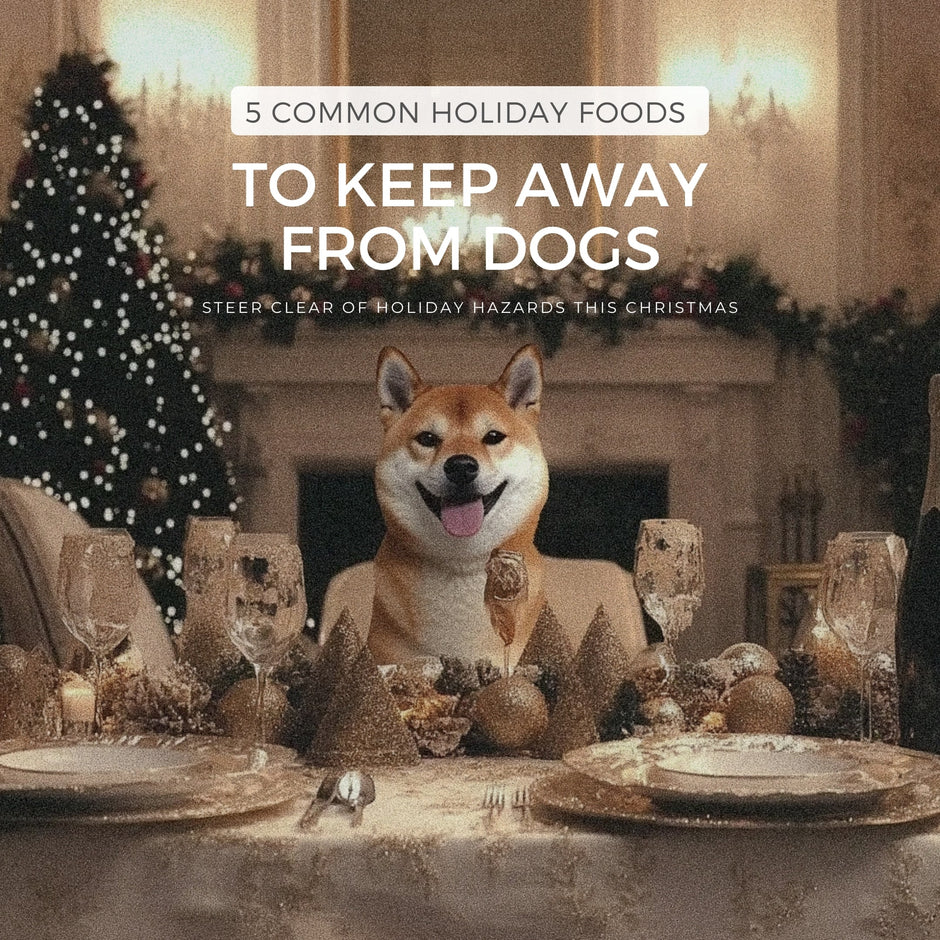 5 Common Holiday Foods to Keep Away from Pets - Steer Clear of Holiday Hazards This Christmas