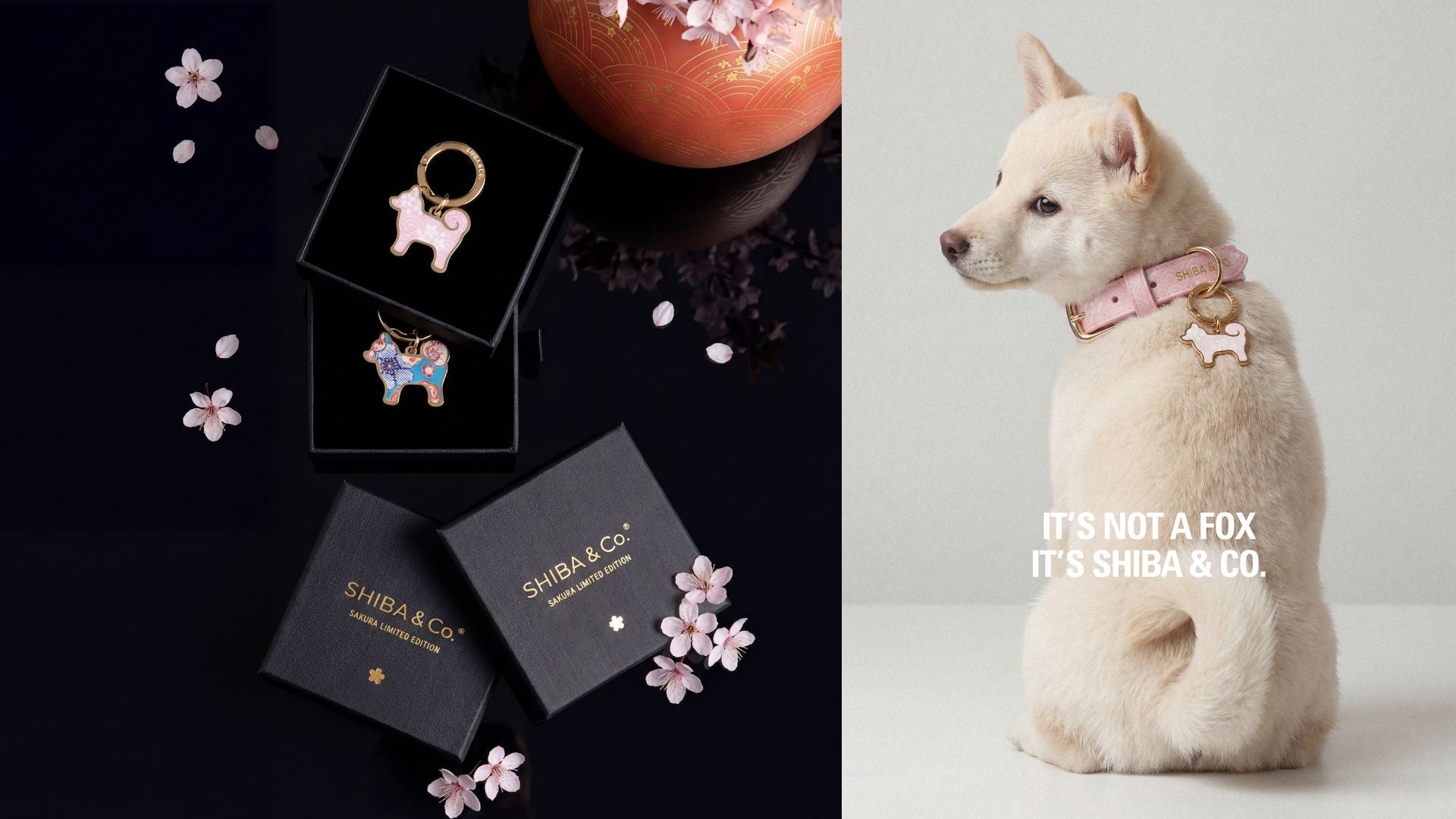 SHIBA & Co. Launches The Sakura Limited Edition Collection - A Conversation with Nicolo and Jiatai, Founders on the Brand's First Seasonal Limited Edition
