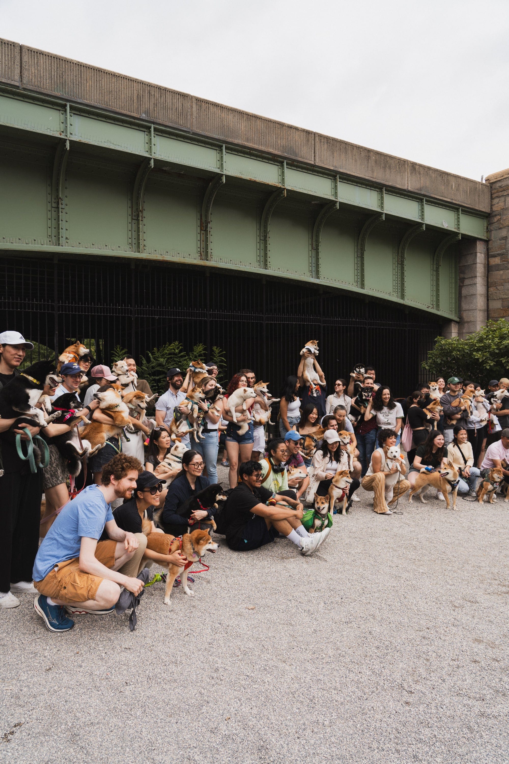 NYC Summer Shiba Meetup IRL Event 6/29/2024