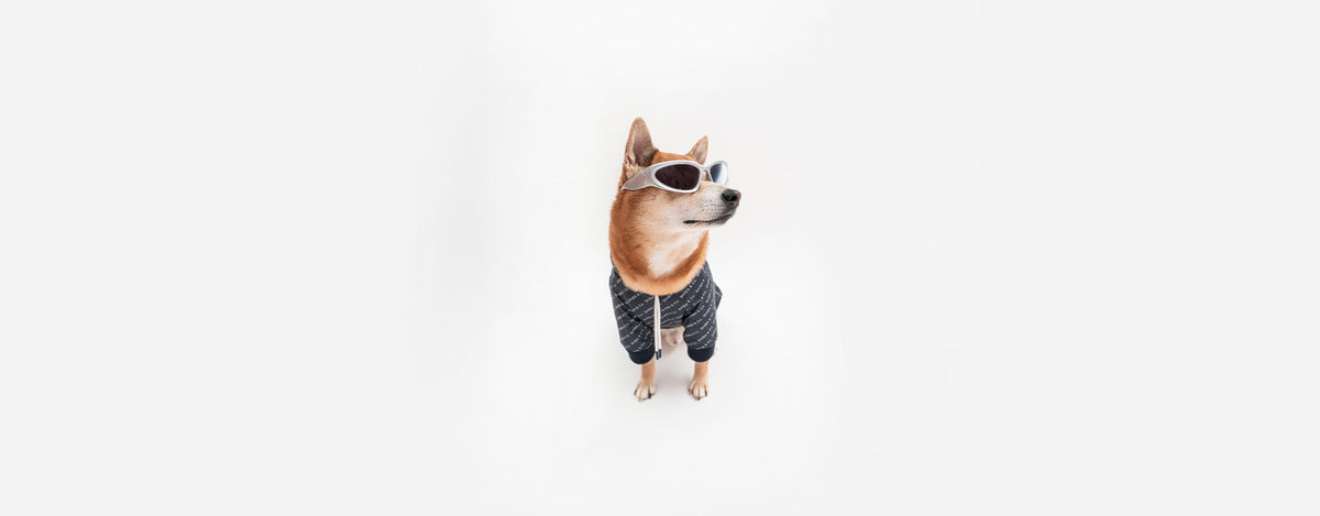 SHIBA & CO_SALE_COLLECTION_2025