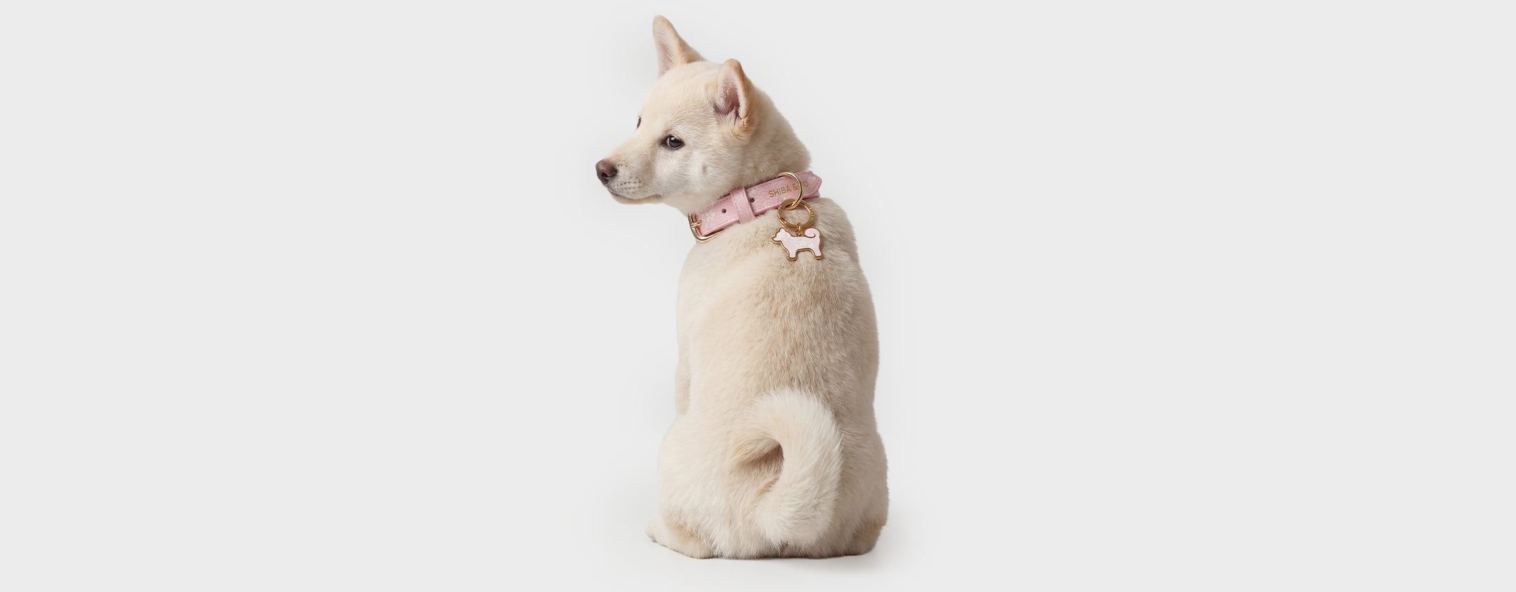 トップス shiba New Arrivals – Latest Shiba Inu Apparel & Accessories | SHIBA & Co