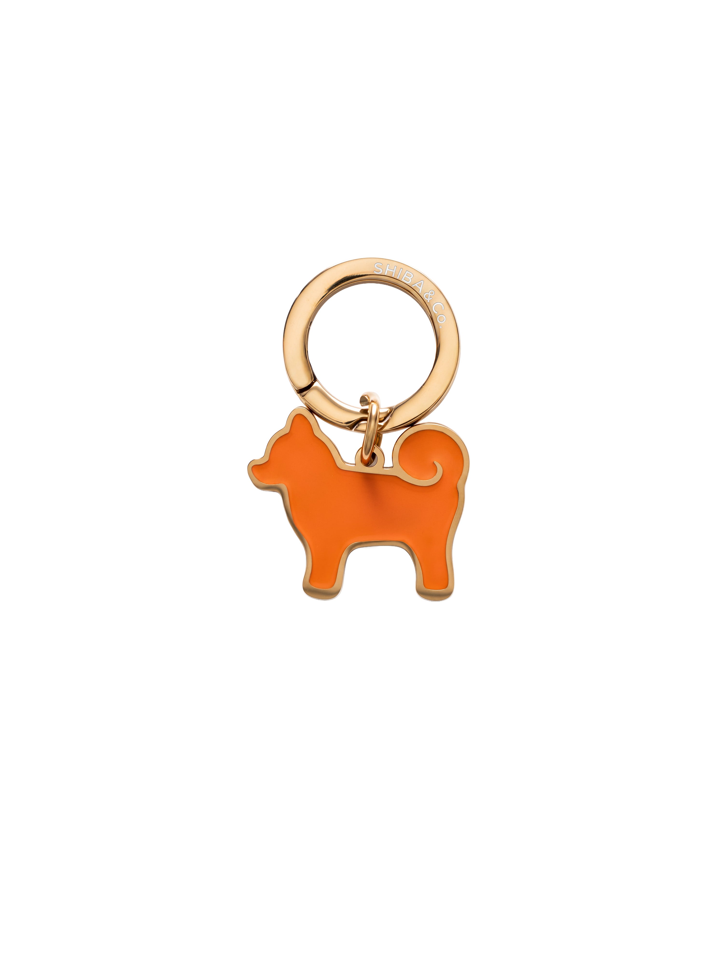 Dog Accessories & Apparel – Harnesses, Leashes, Collars & Hoodies