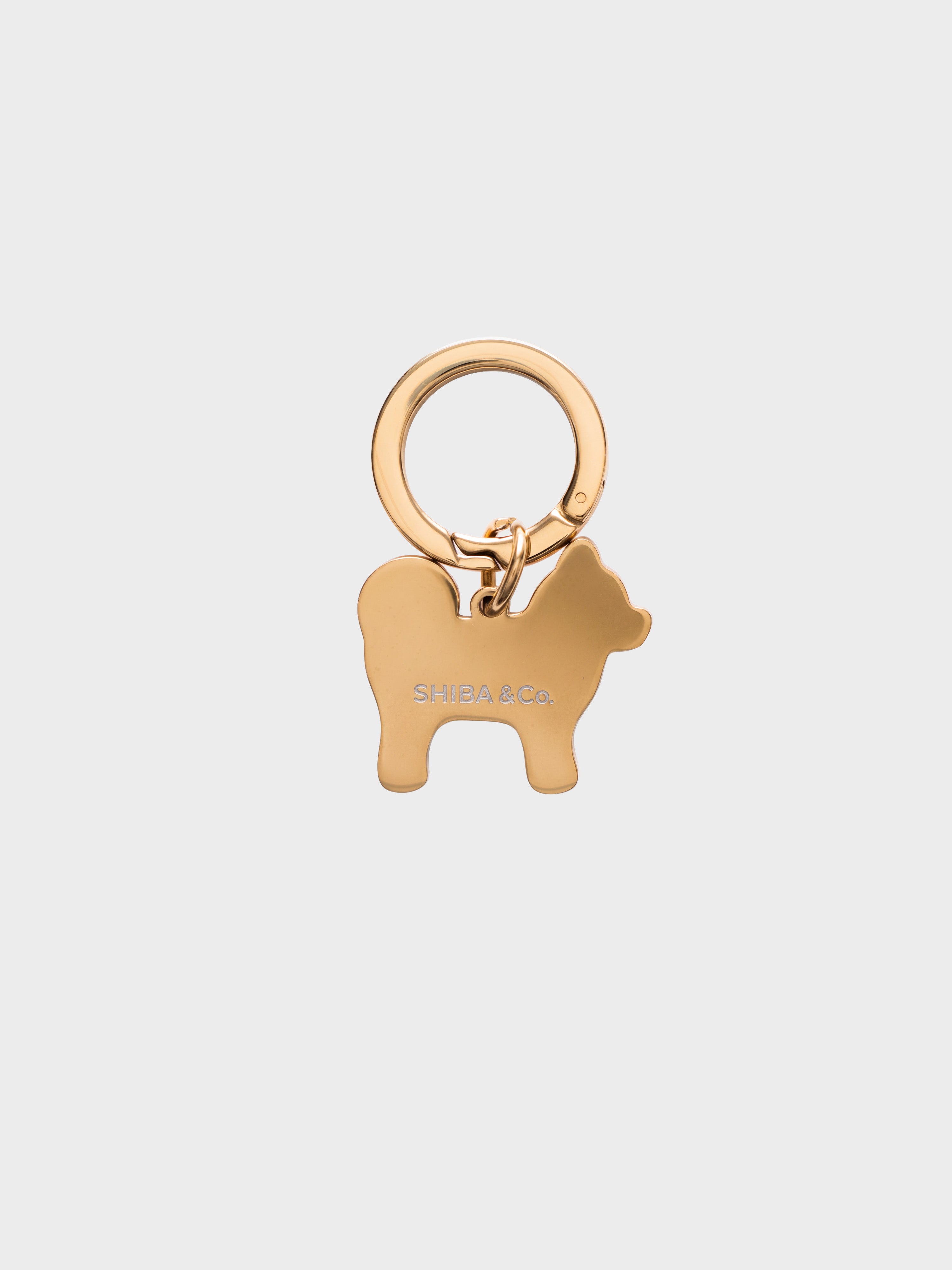 Dog Accessories & Apparel – Harnesses, Leashes, Collars & Hoodies