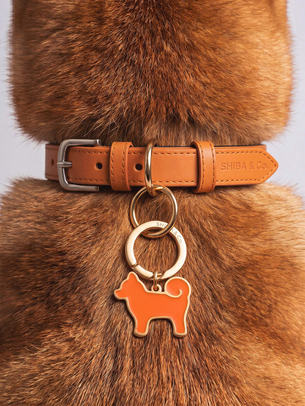 18K Gold Plated “My Precious” Shiba Inu Silhouette Dog Tag – Iconic Orange