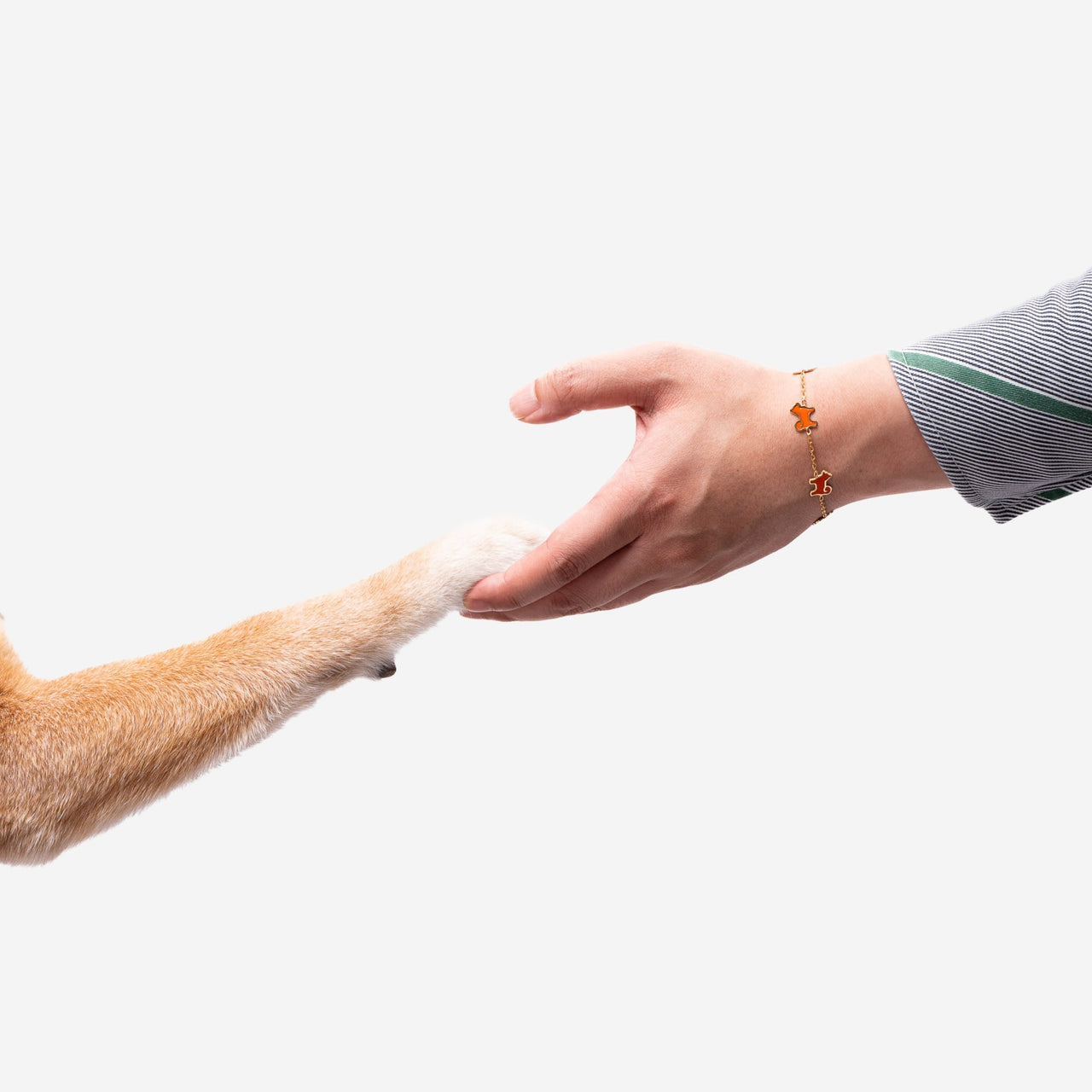 Shiba Inu Dog Bracelet - 24K Gold Plated - Iconic Orange