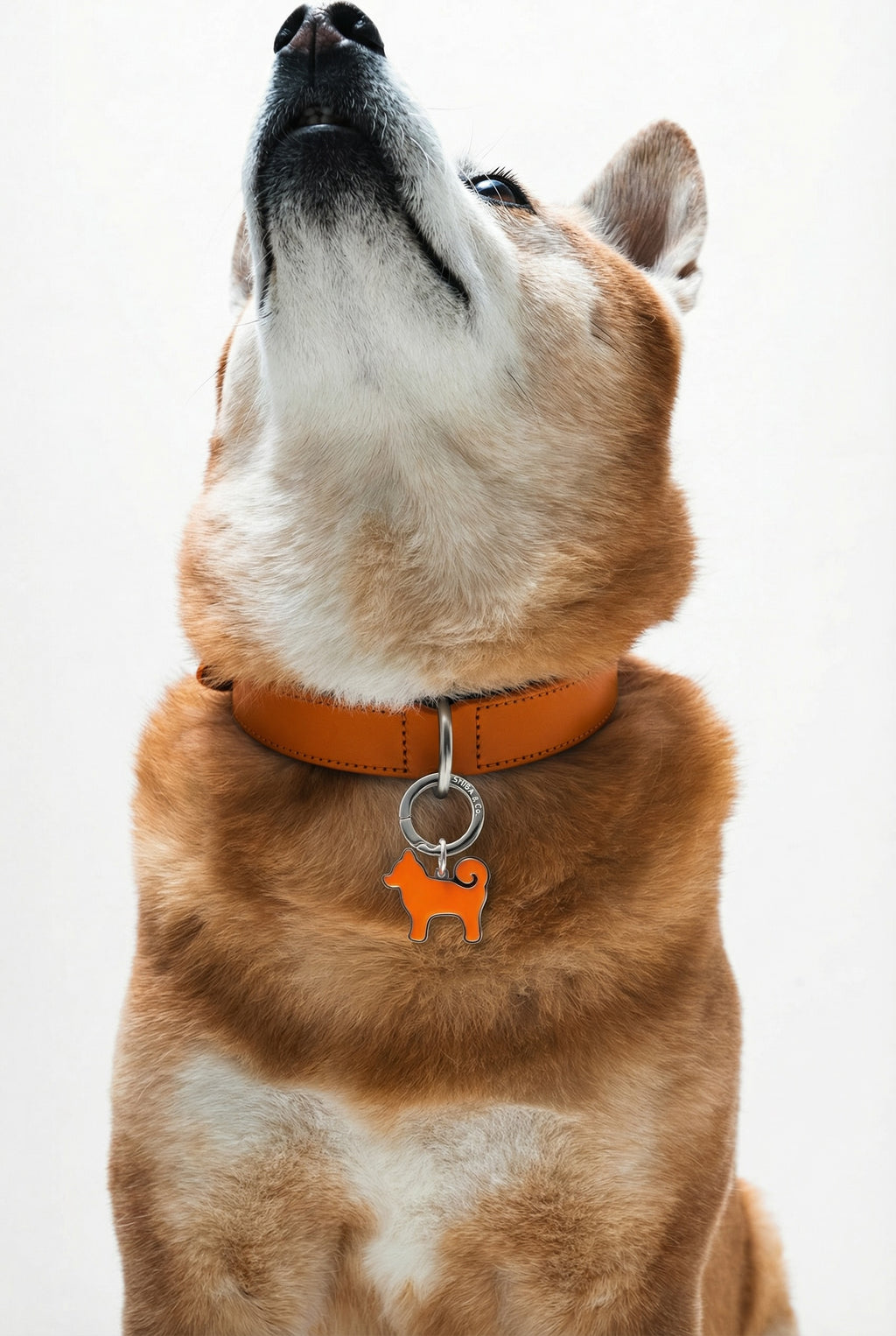 “My Precious” Shiba Inu Silhouette Dog Tag – Iconic Orange