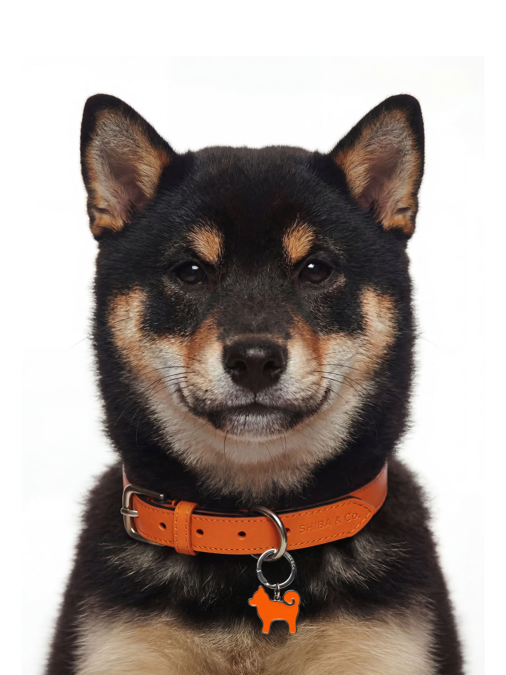 “My Precious” Shiba Inu Silhouette Dog Tag – Iconic Orange