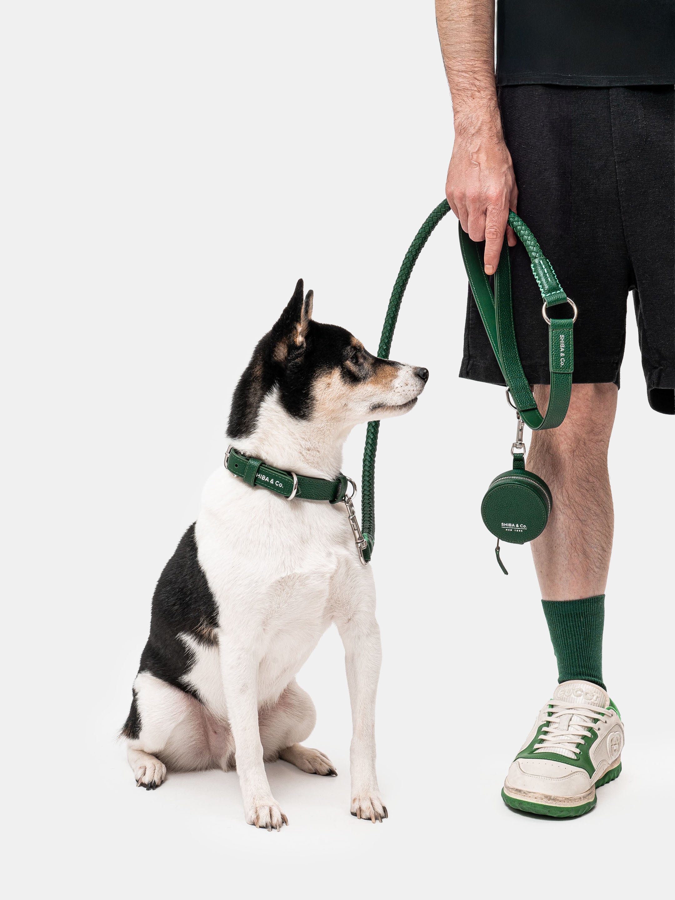 Lucca Dog Collar in Italian Leather - Forest Green