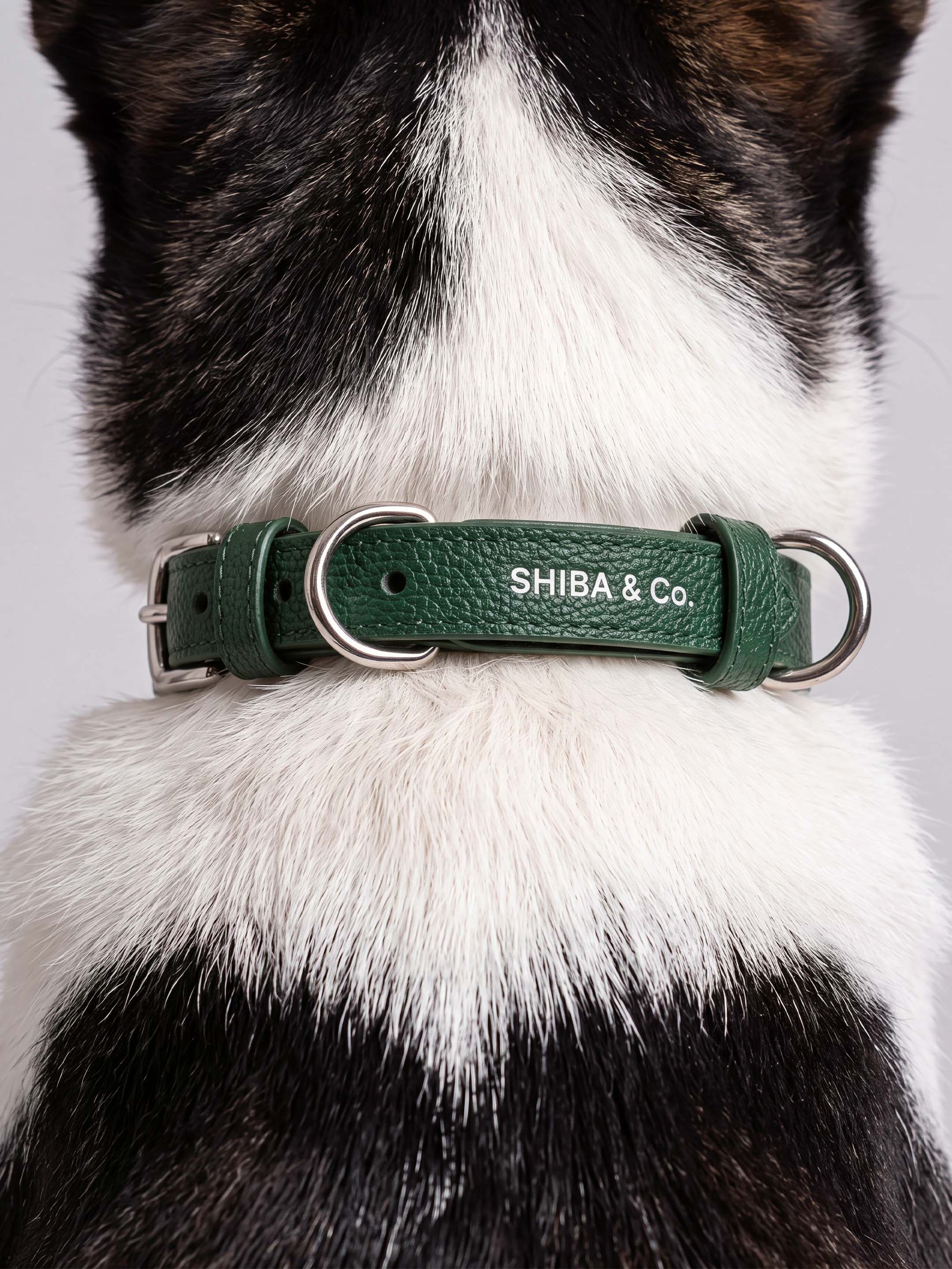 Lucca Dog Collar in Italian Leather - Forest Green