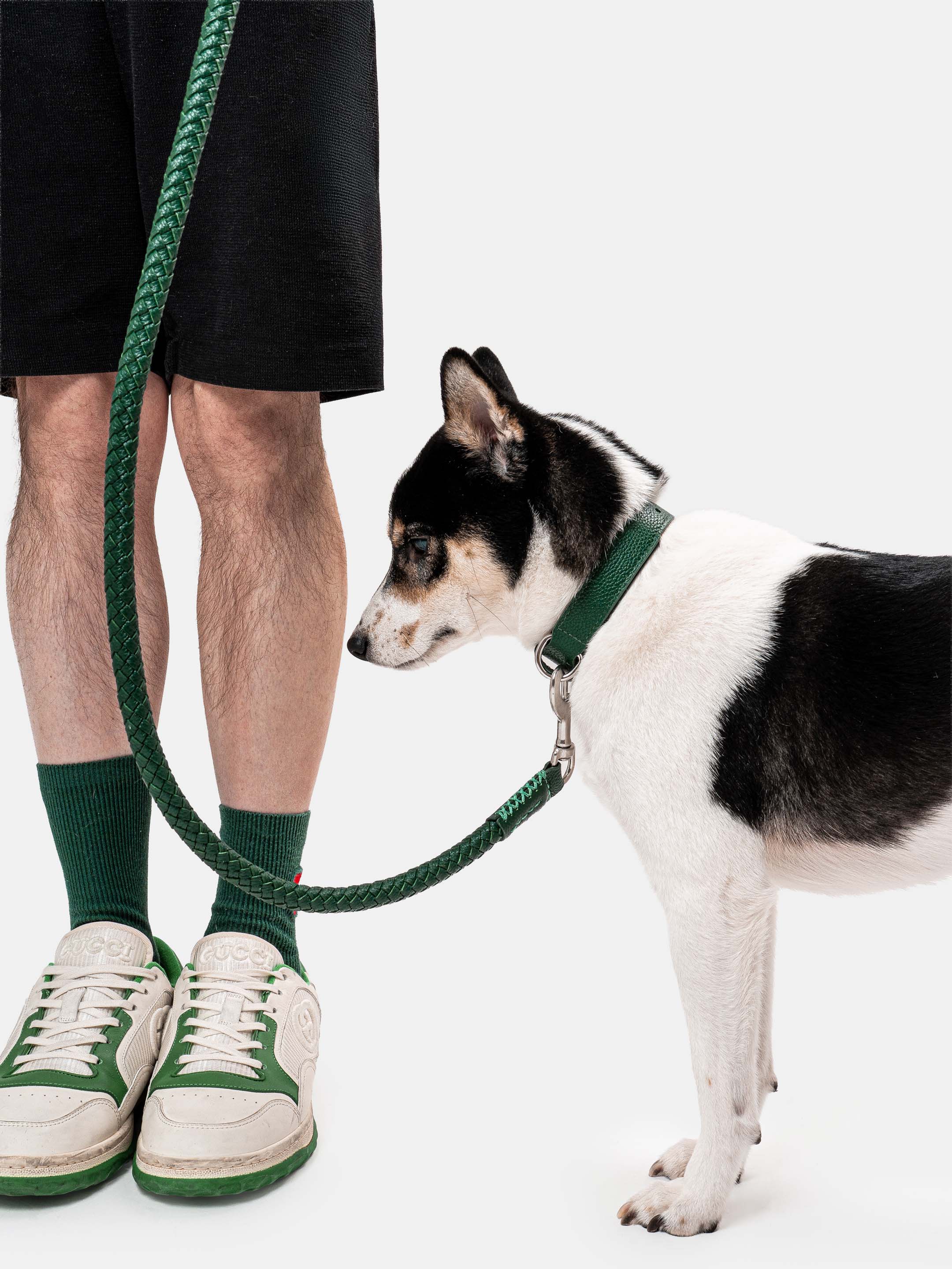 Lucca Dog Collar in Italian Leather - Forest Green