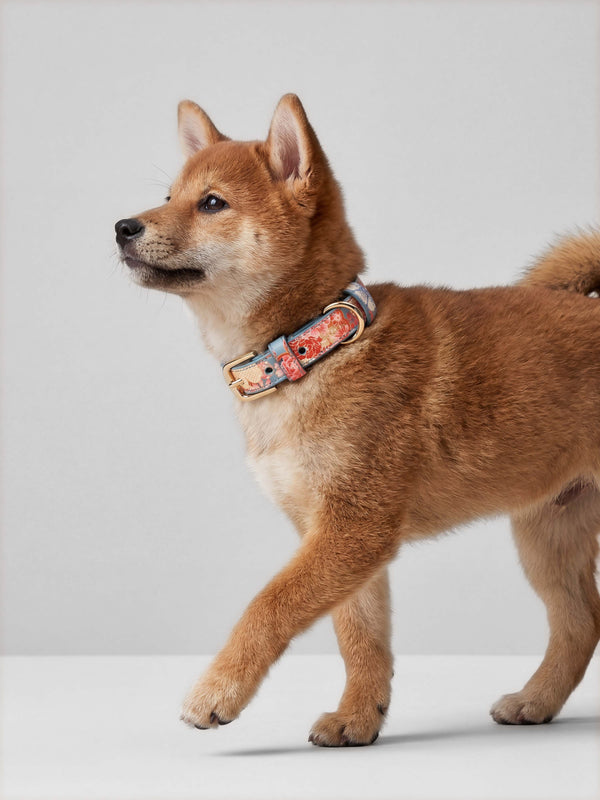 Lucca Italian Leather Dog Collar — Sakura Limited Edition - Teal Floral
