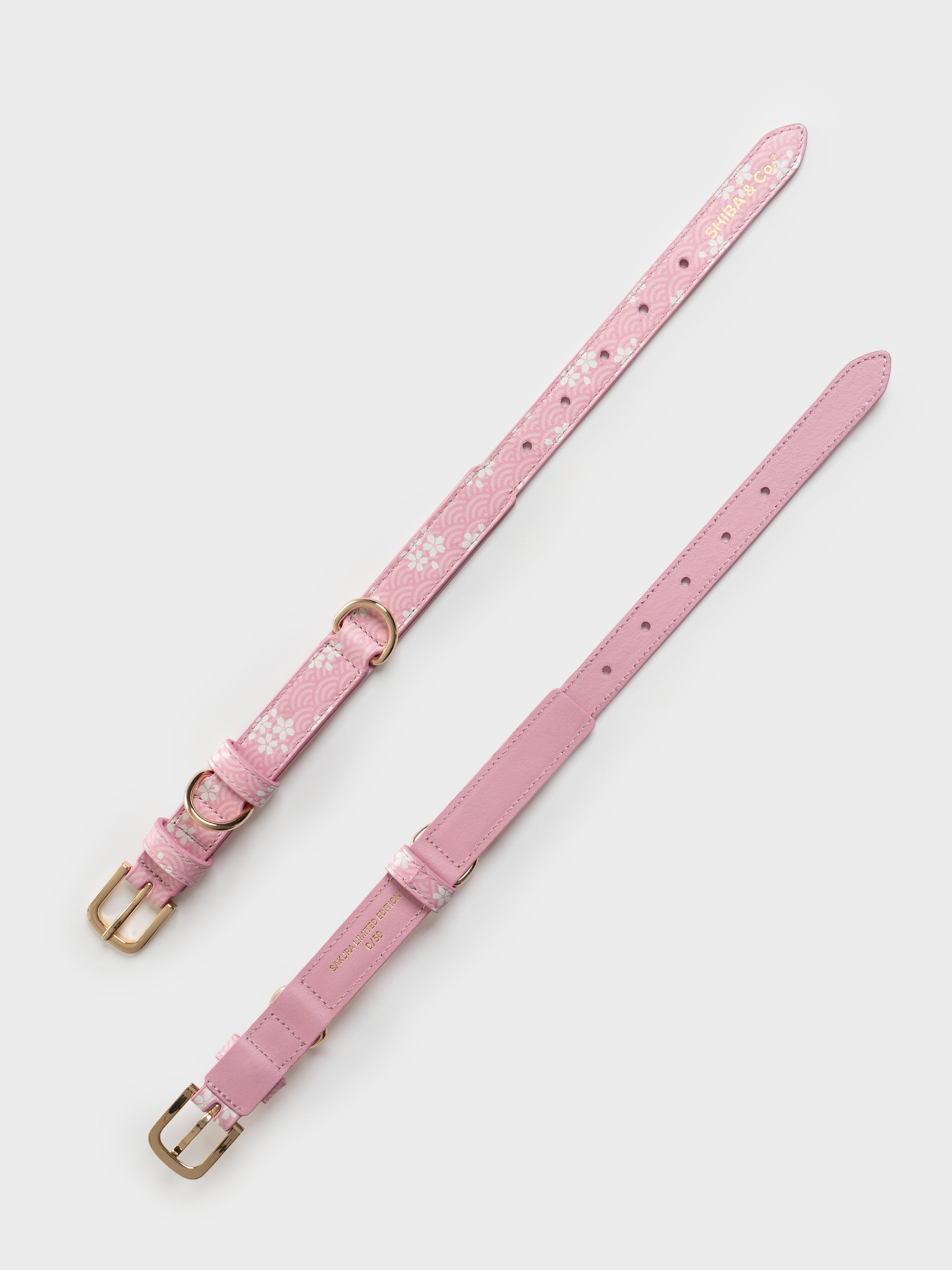 Lucca Italian Leather Dog Collar — Sakura Limited Edition - Pink Seigaiha