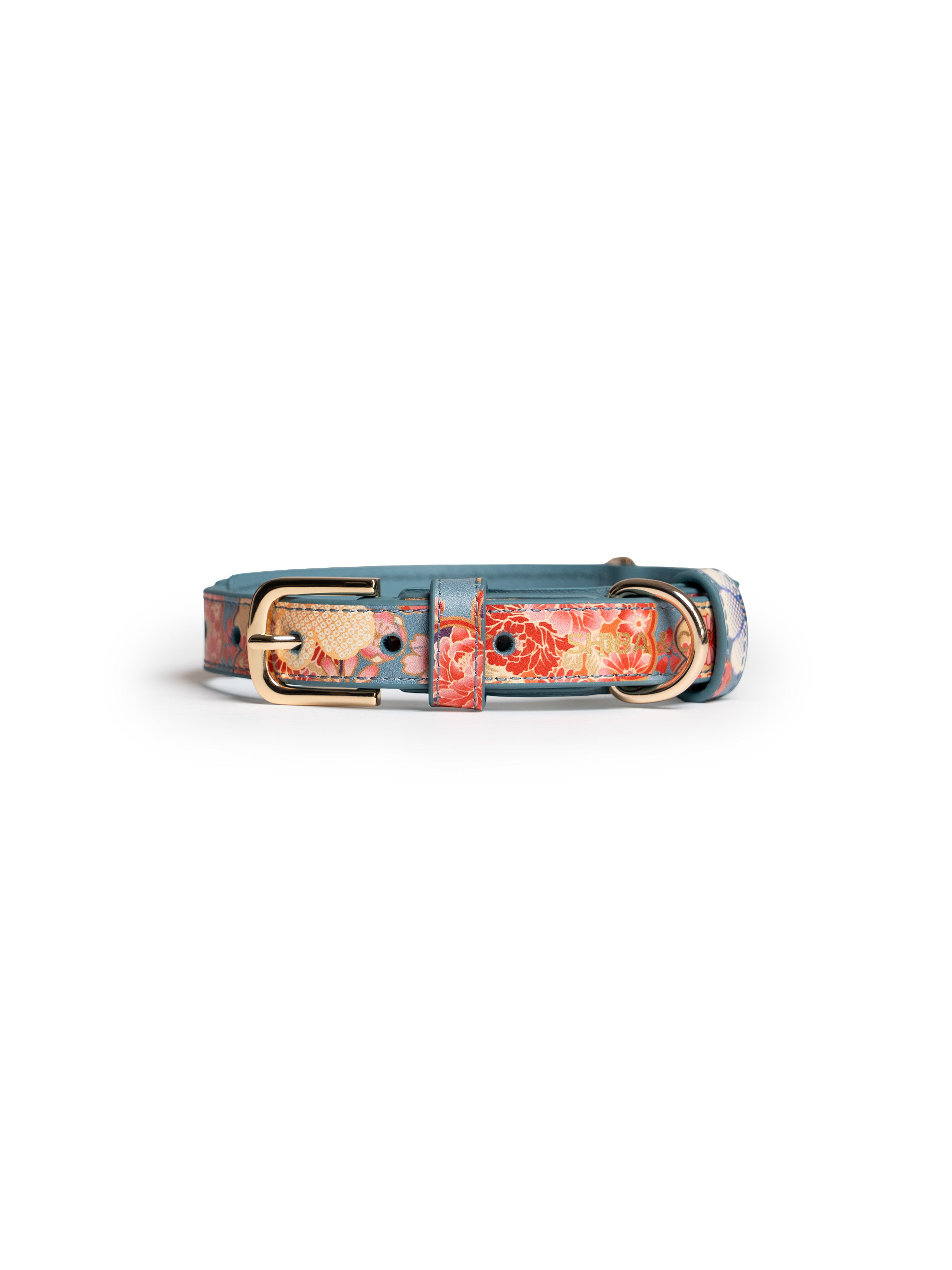 Lucca Italian Leather Dog Collar — Sakura Limited Edition - Teal Floral