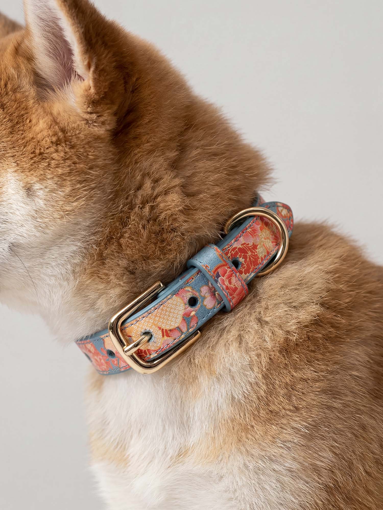 Lucca Italian Leather Dog Collar — Sakura Limited Edition - Teal Floral