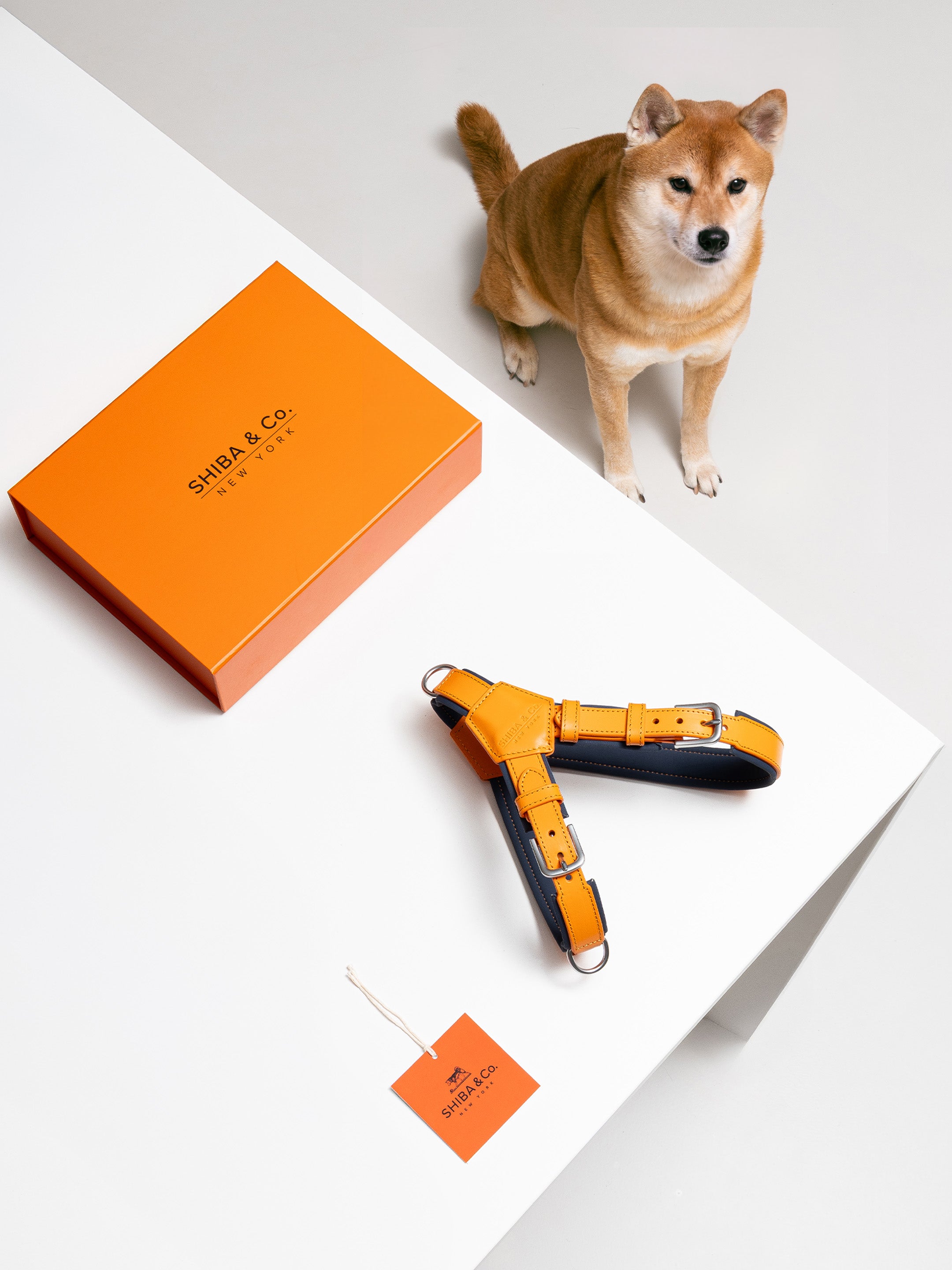 Milano Dog Harness in Italian Leather - Iconic Orange