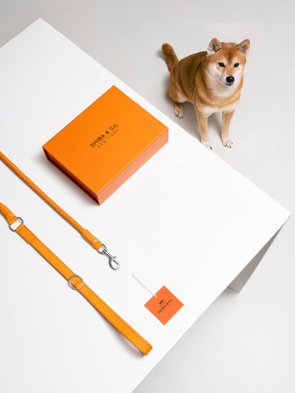 Otto - Intrecciato Dog Leash in Italian Leather - Iconic Orange