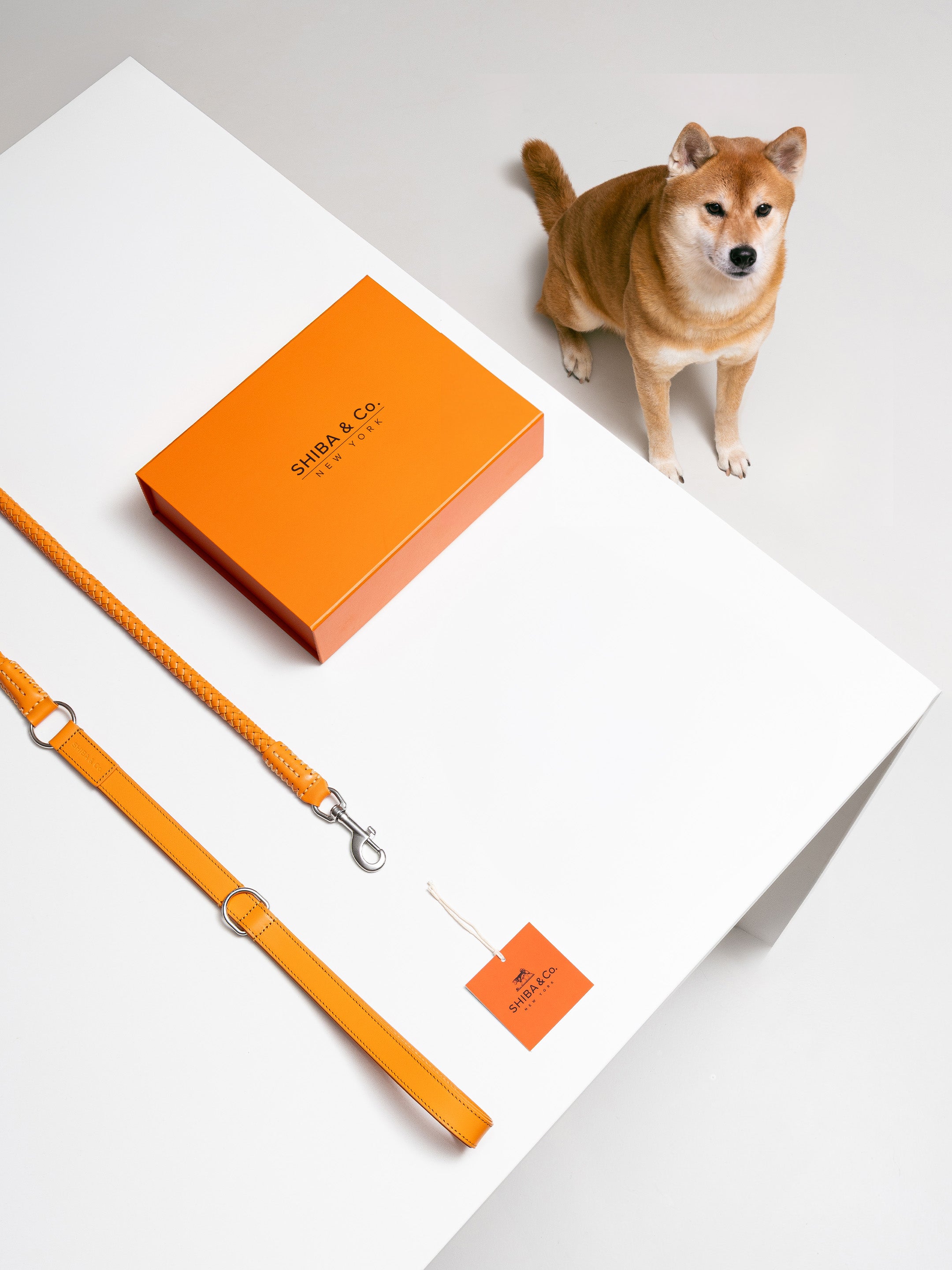 Otto - Intrecciato Dog Leash in Italian Leather - Iconic Orange