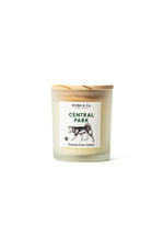 Central Park - Dog-Friendly Soy Wax Candle - Pomelo Love Green