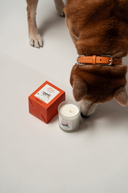 Pet-Friendly Soy Wax Candle