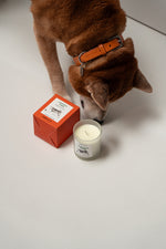 Central Park - Dog-Friendly Soy Wax Candle - Pomelo Love Green
