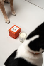 Pet-Friendly Soy Wax Candle Set  ($84 Value)