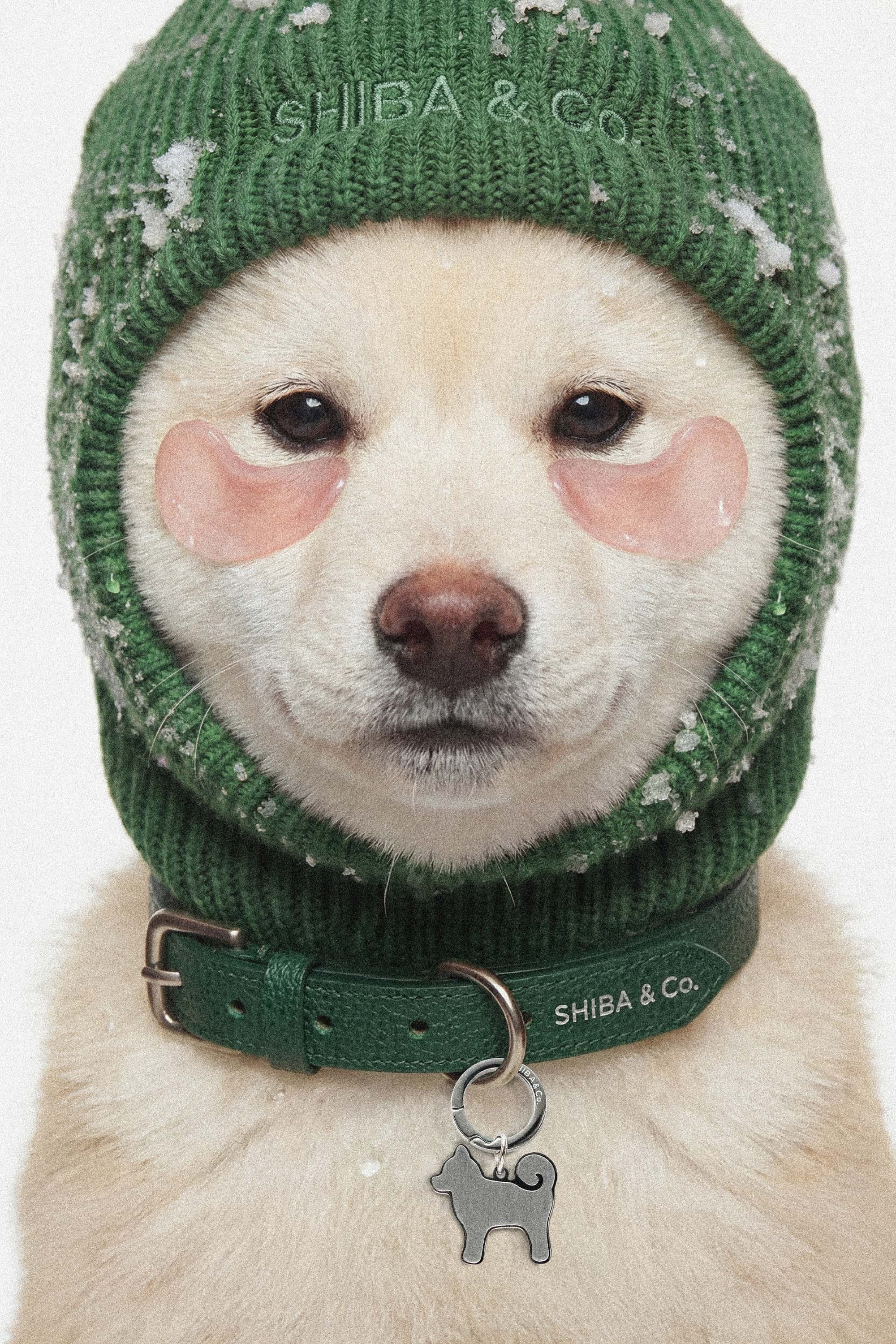 Lucca Dog Collar in Italian Leather - Forest Green