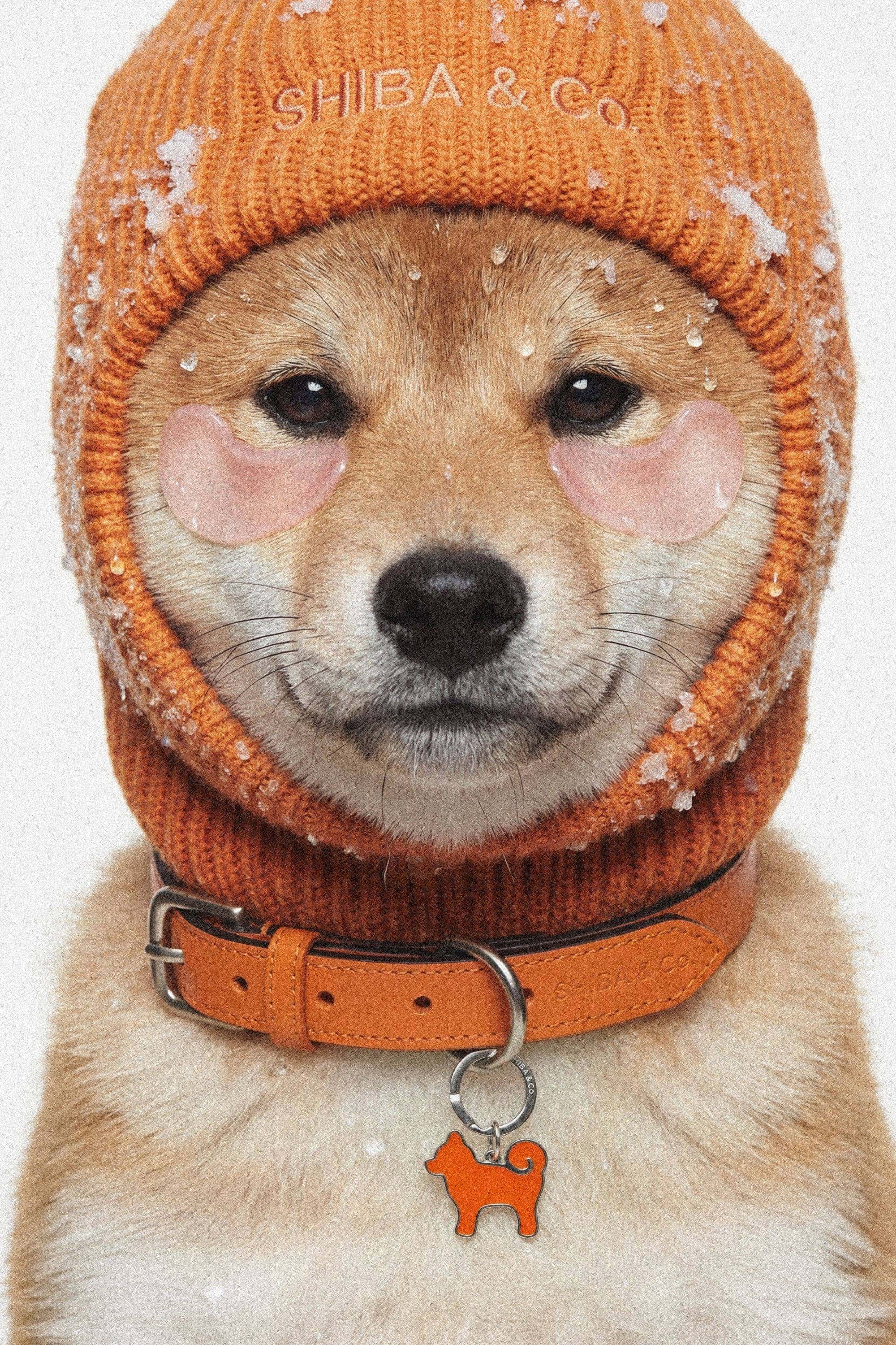 “My Precious” Shiba Inu Silhouette Dog Tag – Iconic Orange