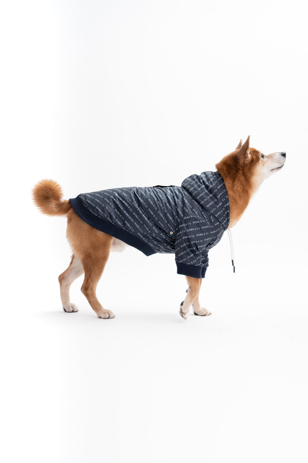 Reve Dog Hoodie In Orange - Waterproof & Reversible