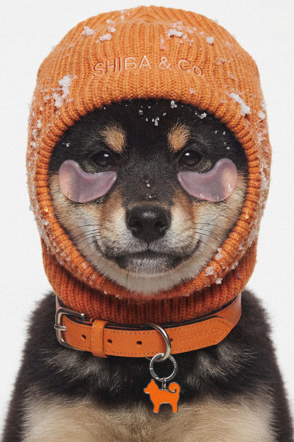 Knitted Balaclava For Dog