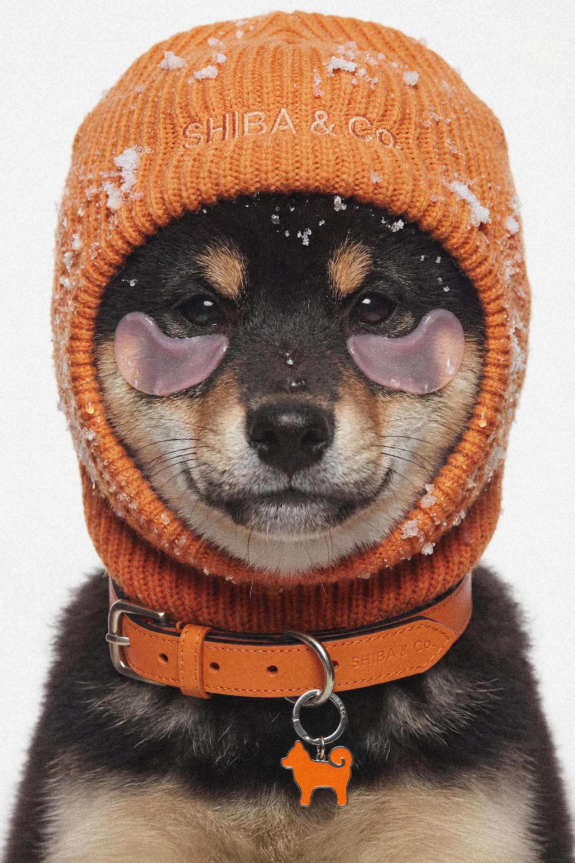 Knitted Balaclava For Dog