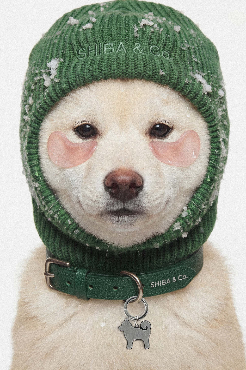 Knitted Balaclava For Dog