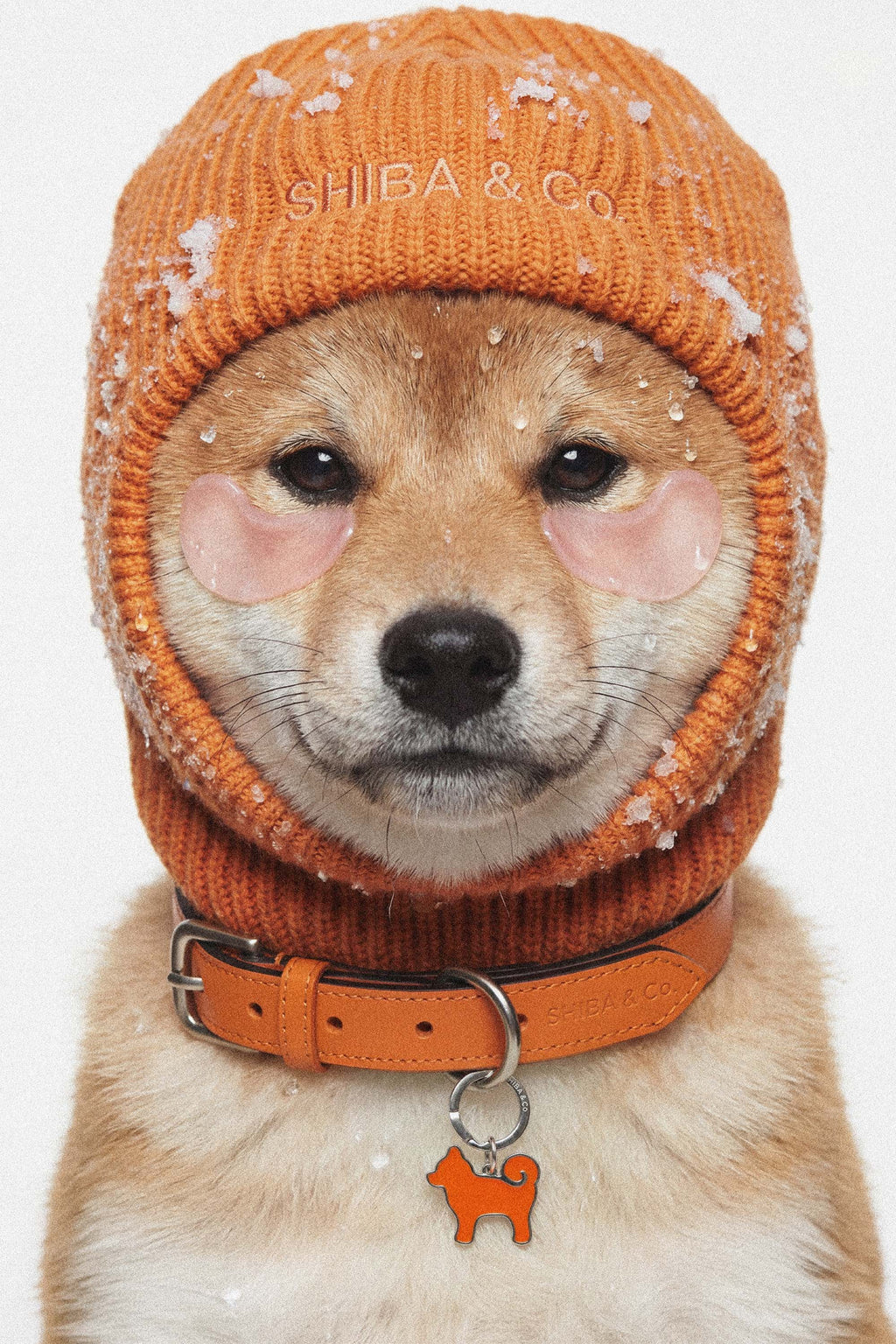 Knitted Balaclava For Dog