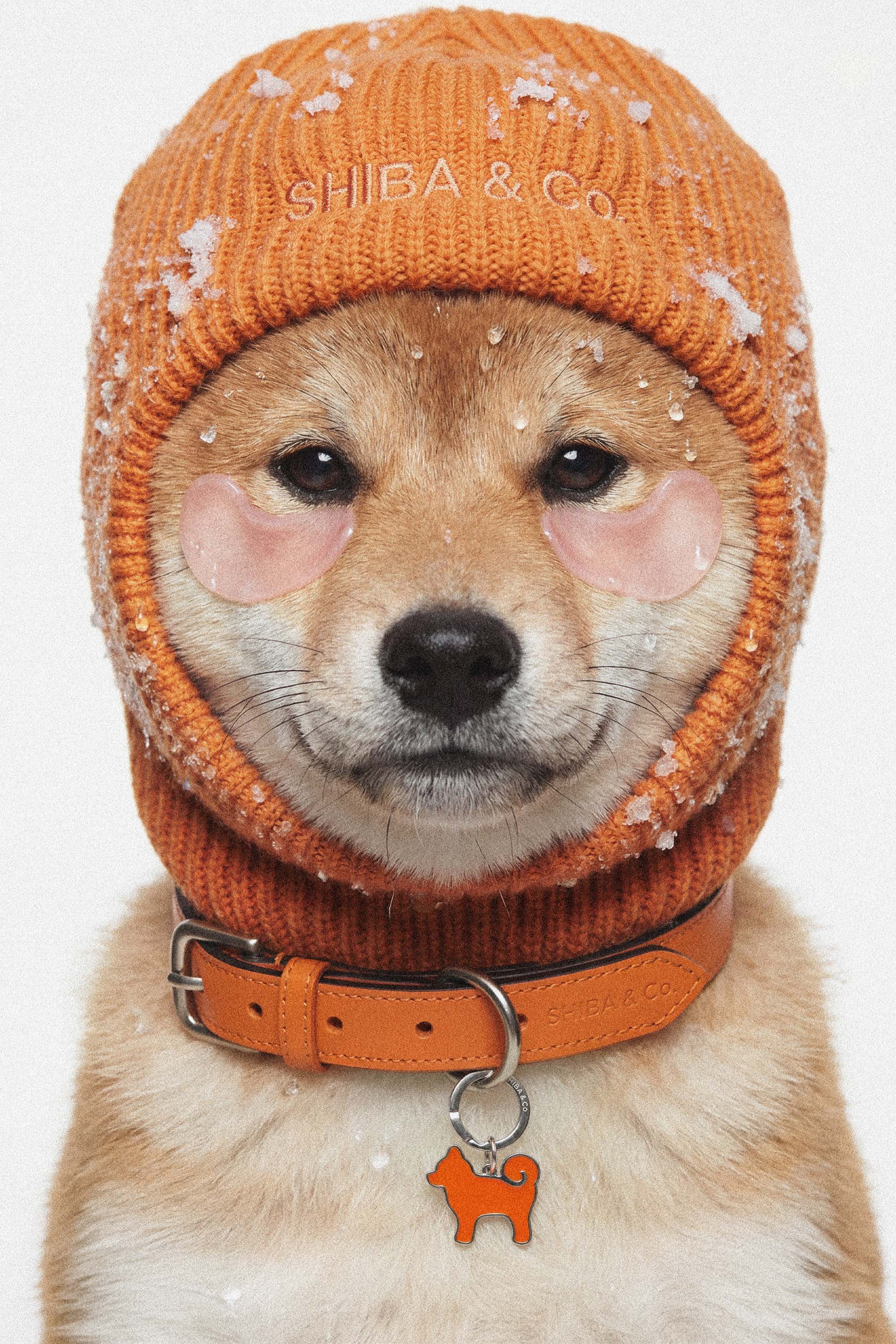 Knitted Balaclava For Dog