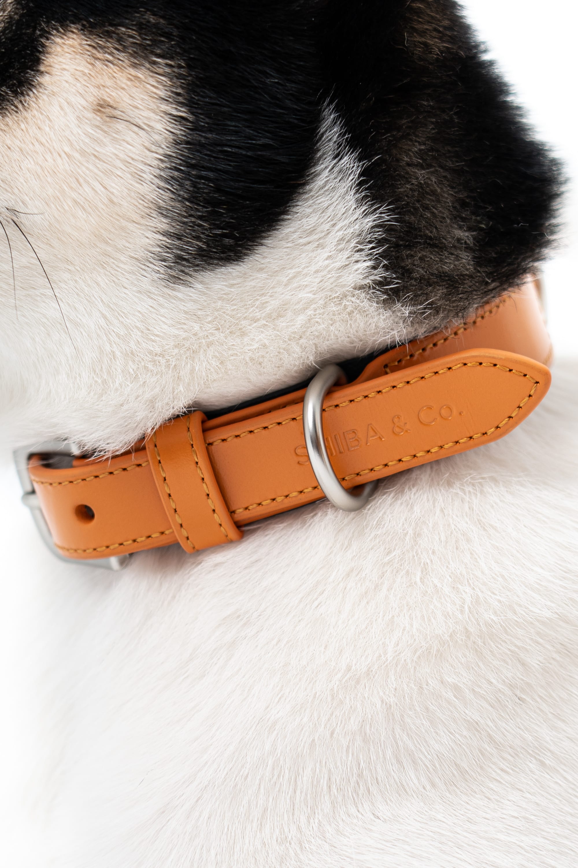 Lucca Dog Collar in Italian Leather - Iconic Orange