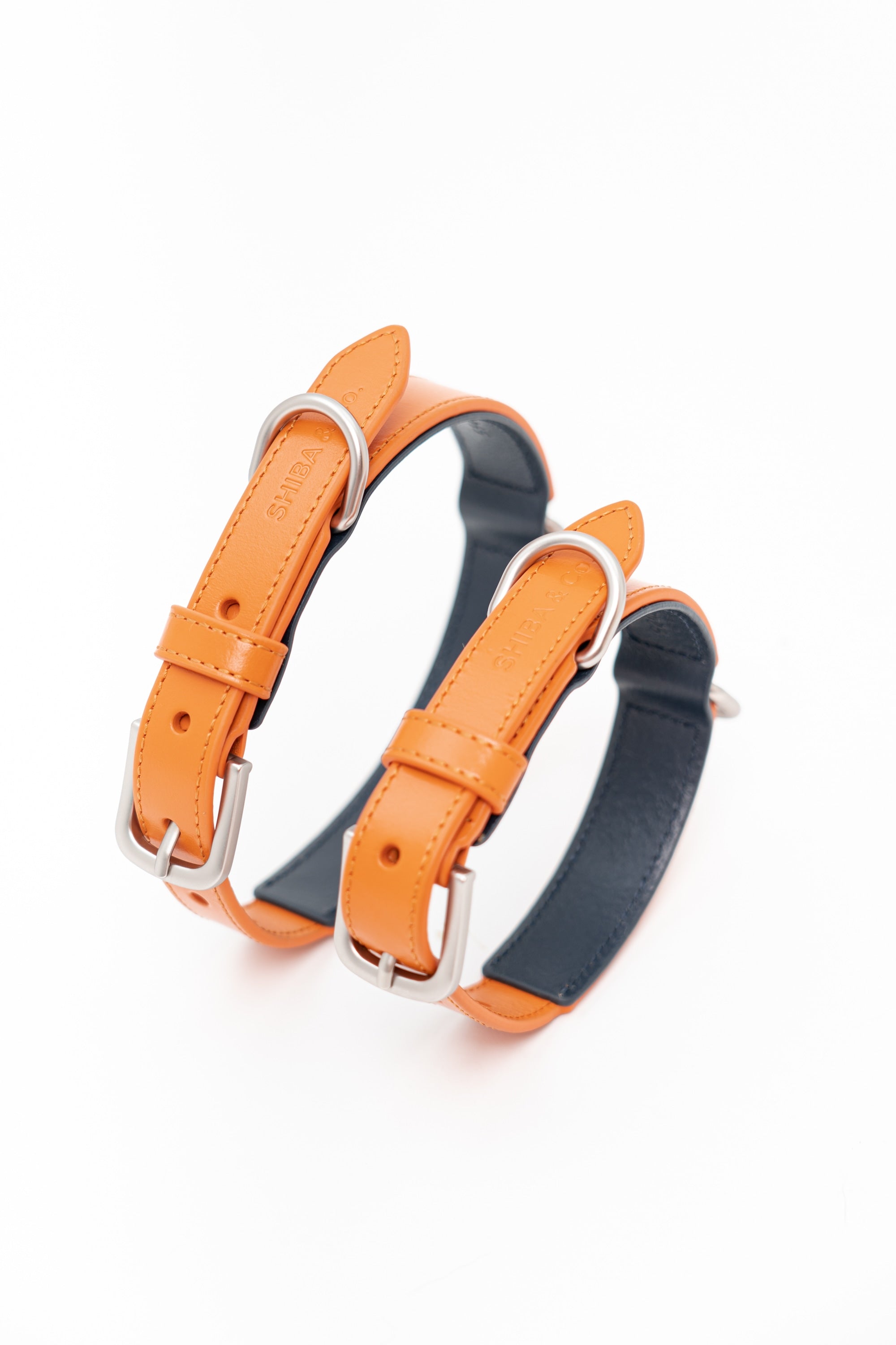 Lucca Dog Collar in Italian Leather - Iconic Orange