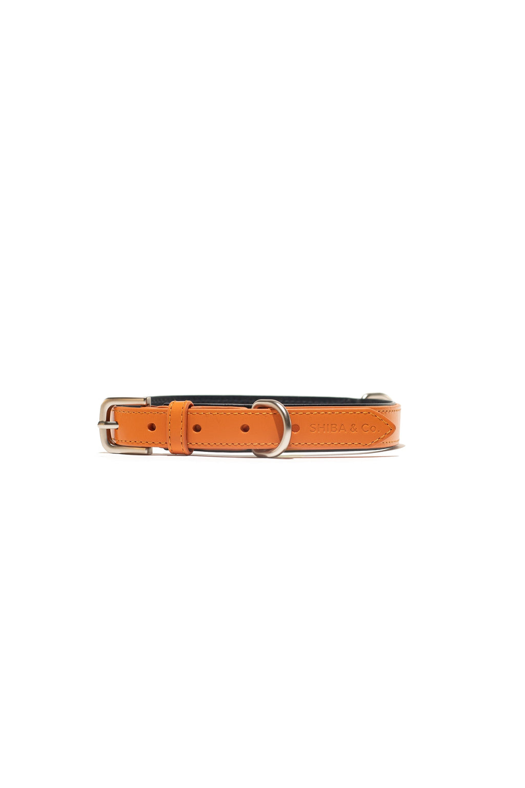 Leather Collar For Dog - ORANGE - SHIBA & CO.