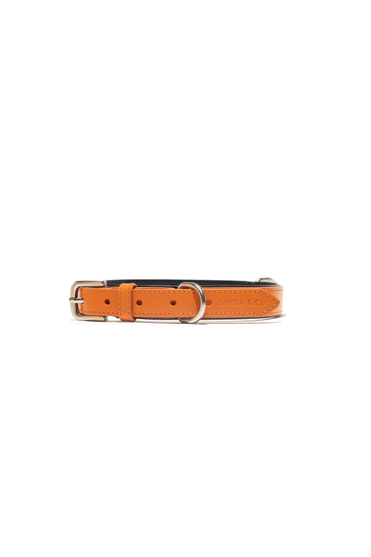 Leather Collar For Dog - ORANGE - SHIBA & CO.