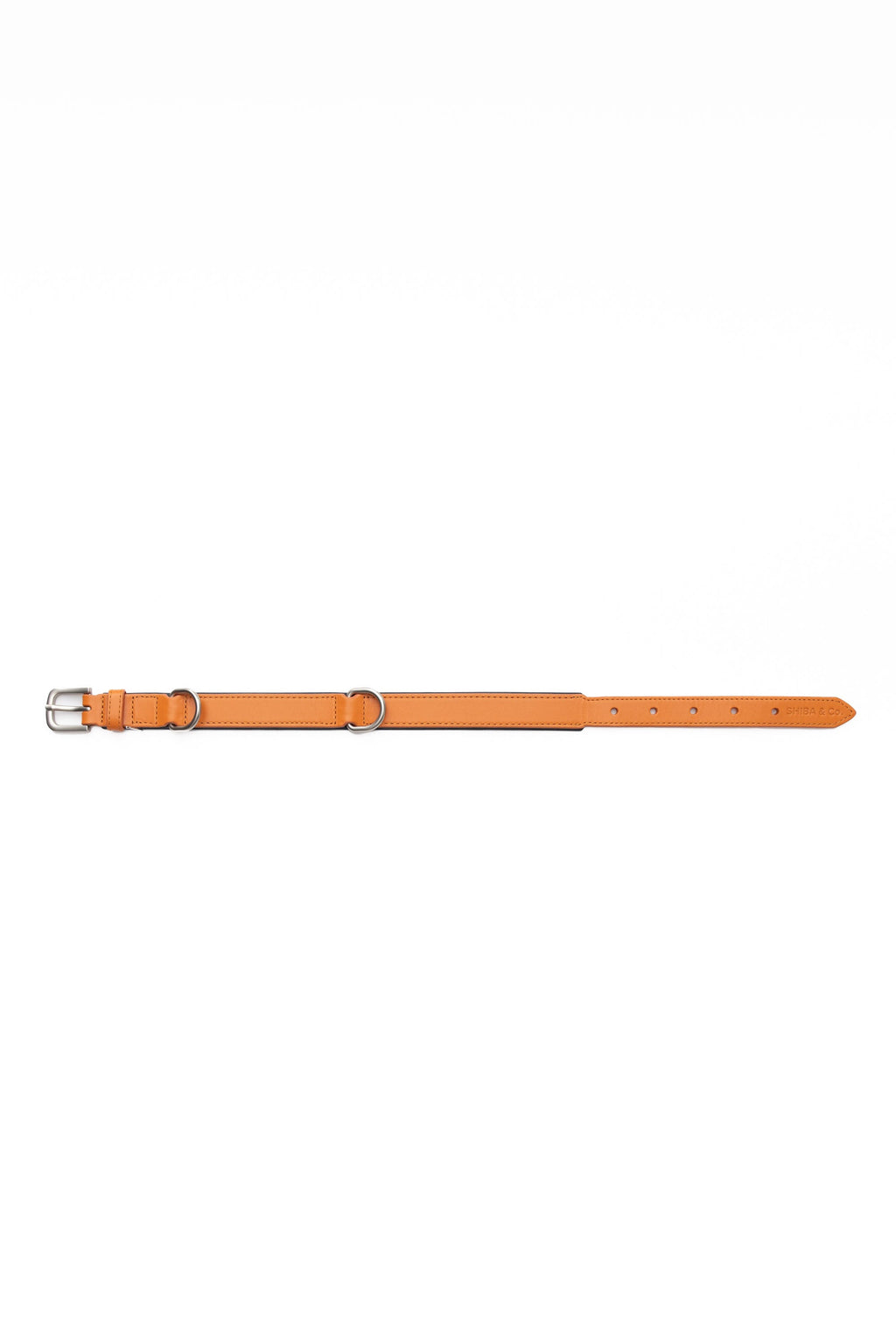 Lucca Dog Collar in Italian Leather - Iconic Orange