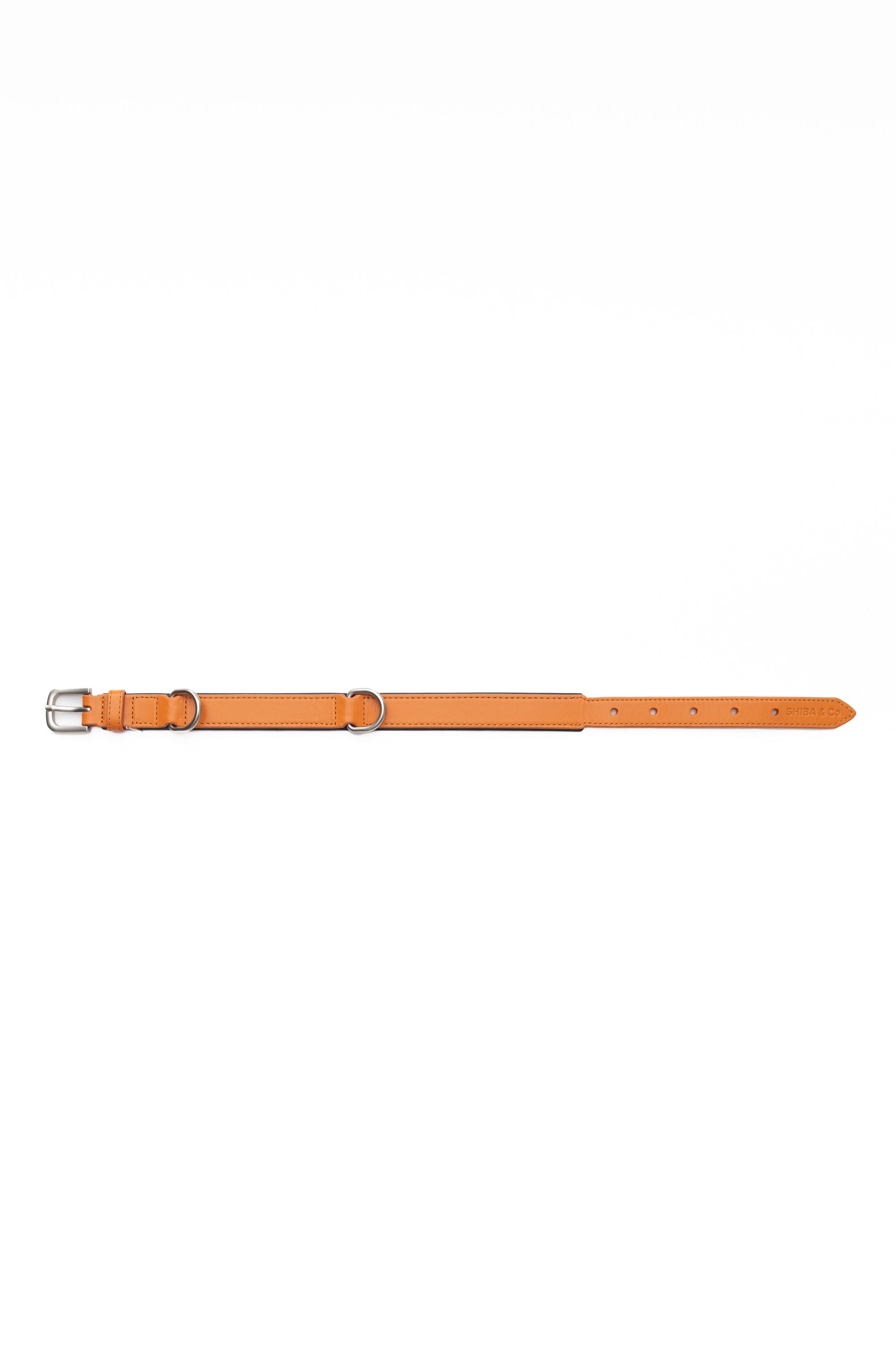 Lucca Dog Collar in Italian Leather - Iconic Orange