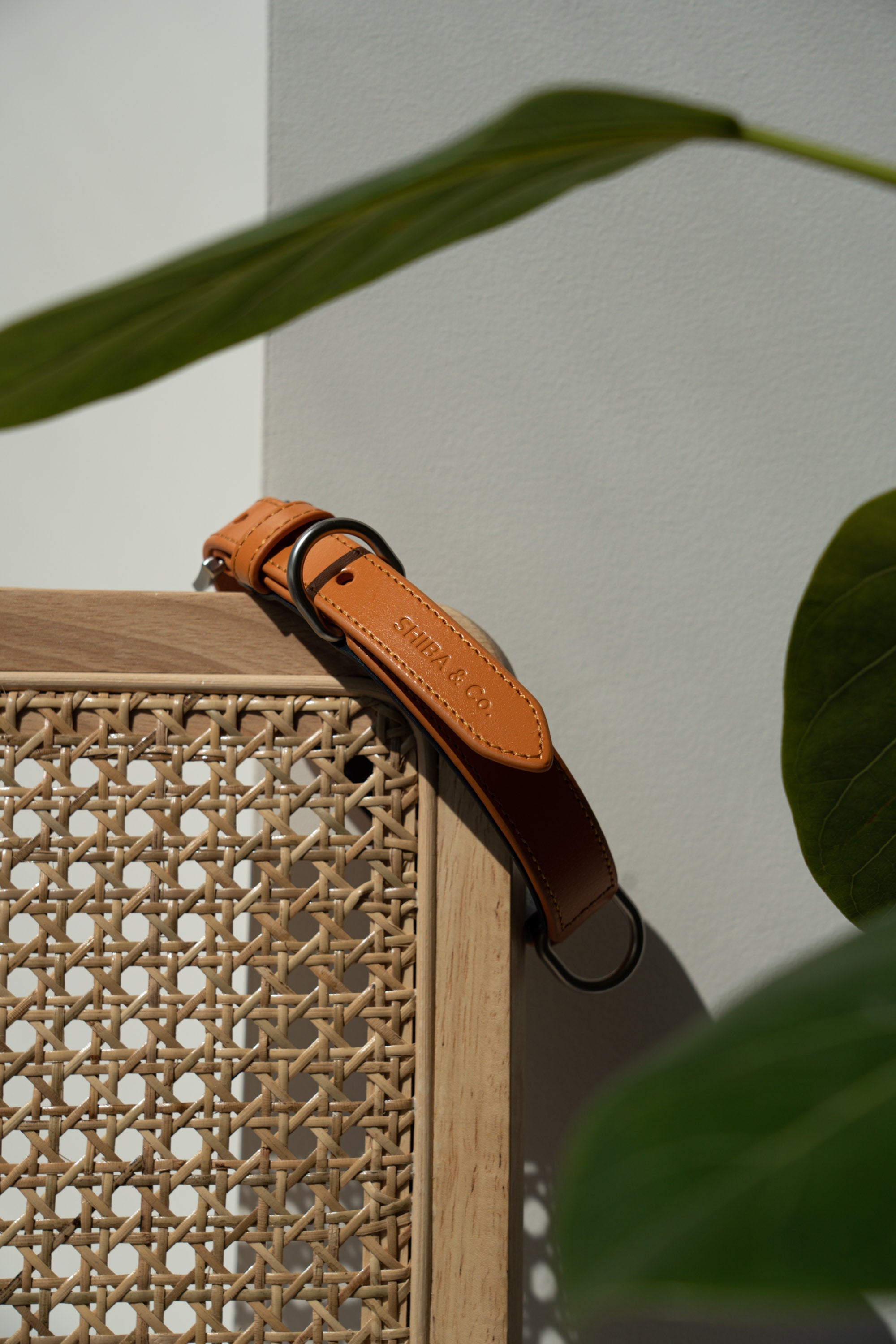 Lucca Dog Collar in Italian Leather - Iconic Orange