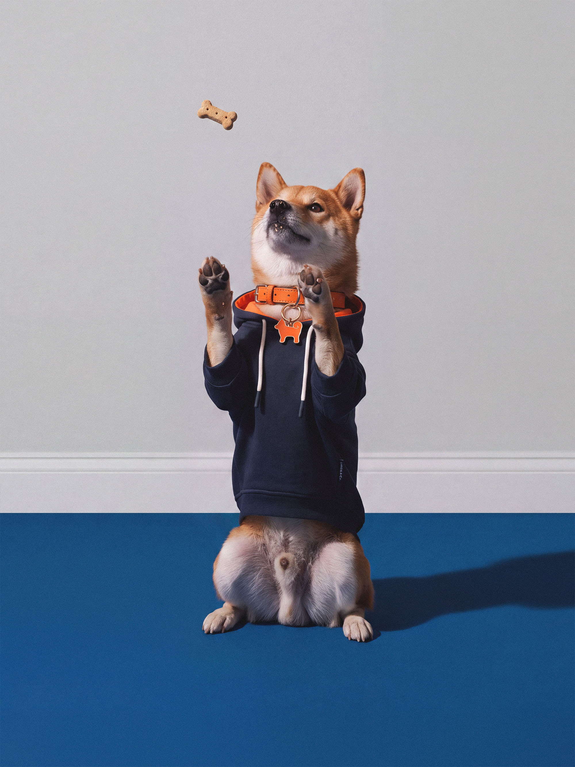 コスプレ衣装 Shiba SHIBA & Co.® Official Site | Lifestyle Clothing & Accessories