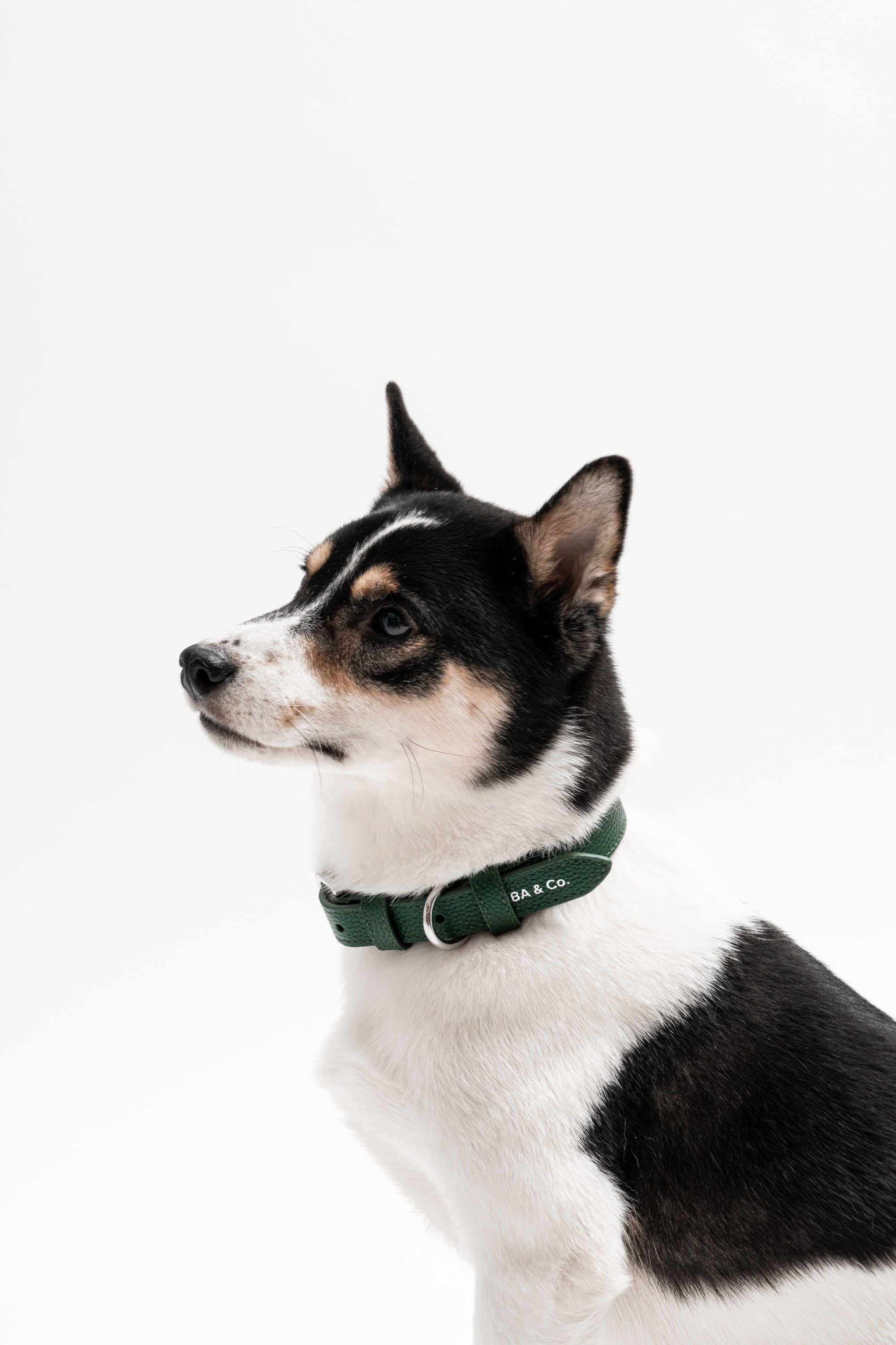 Lucca Dog Collar in Italian Leather - Forest Green