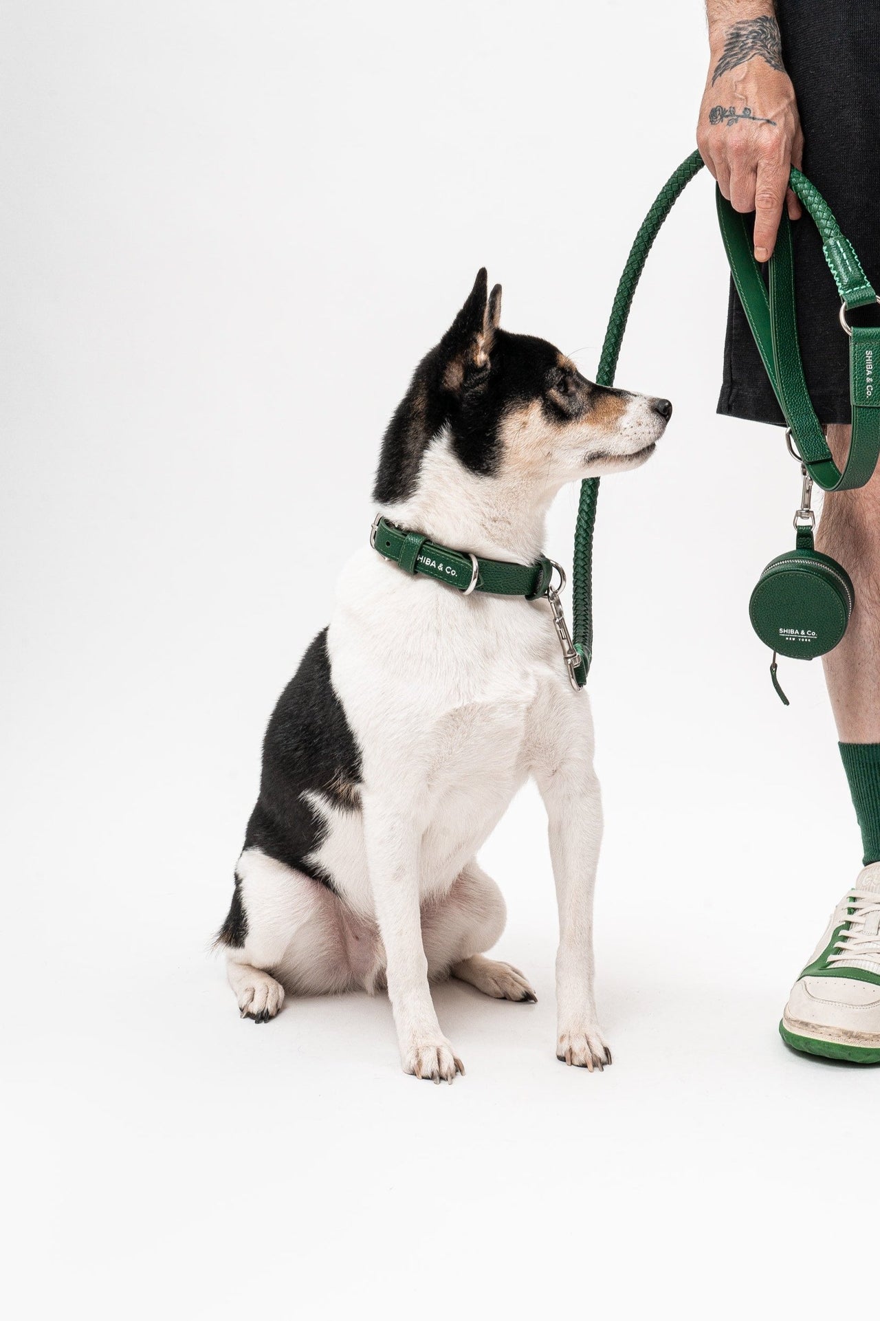 Lucca Dog Collar in Italian Leather - Forest Green