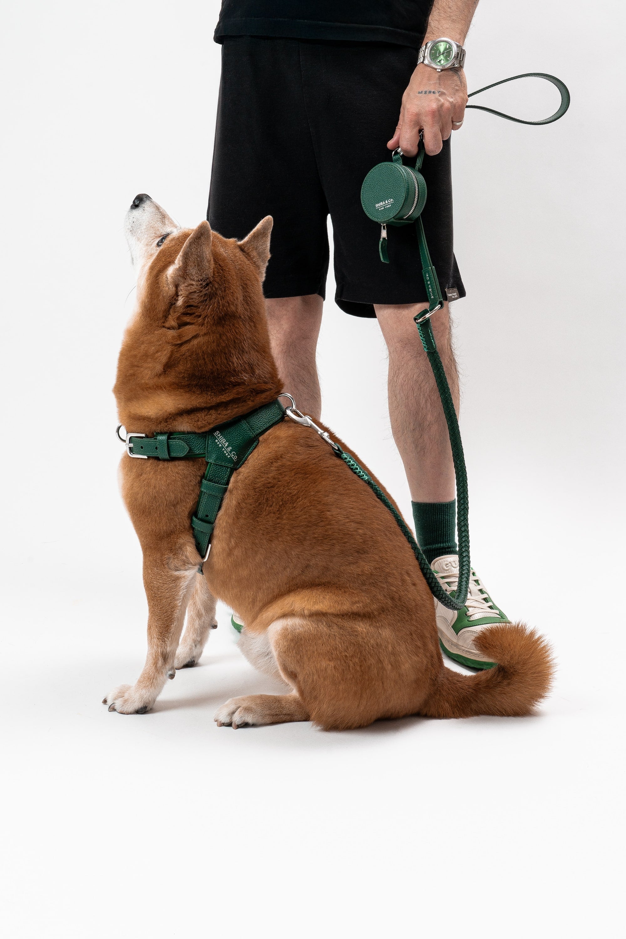Milano Dog Harness in Italian Leather - Forest Green