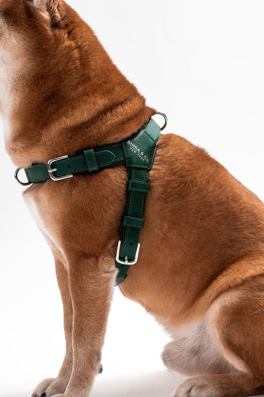 Milano Dog Harness in Italian Leather - Forest Green