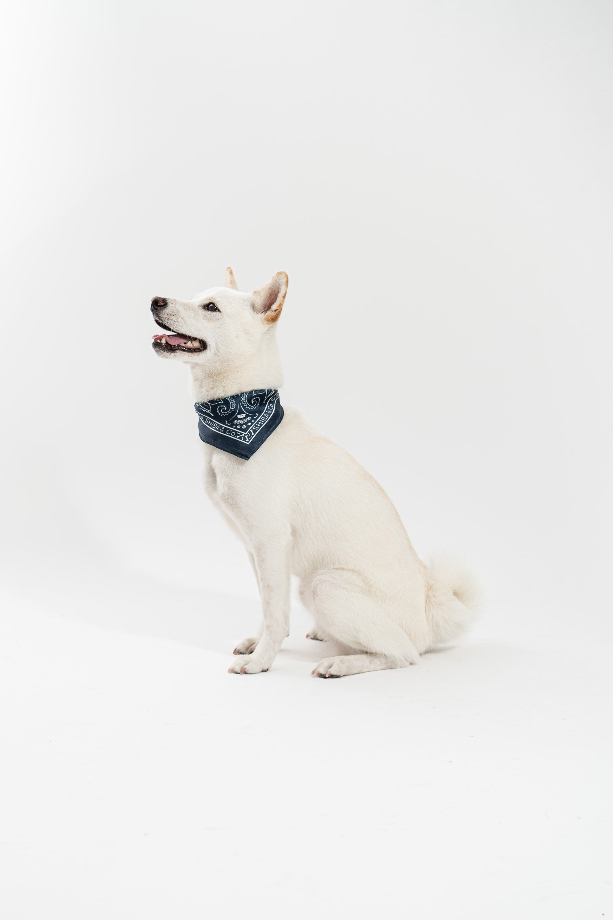 Soho - Silk Bandana In Blue Navy