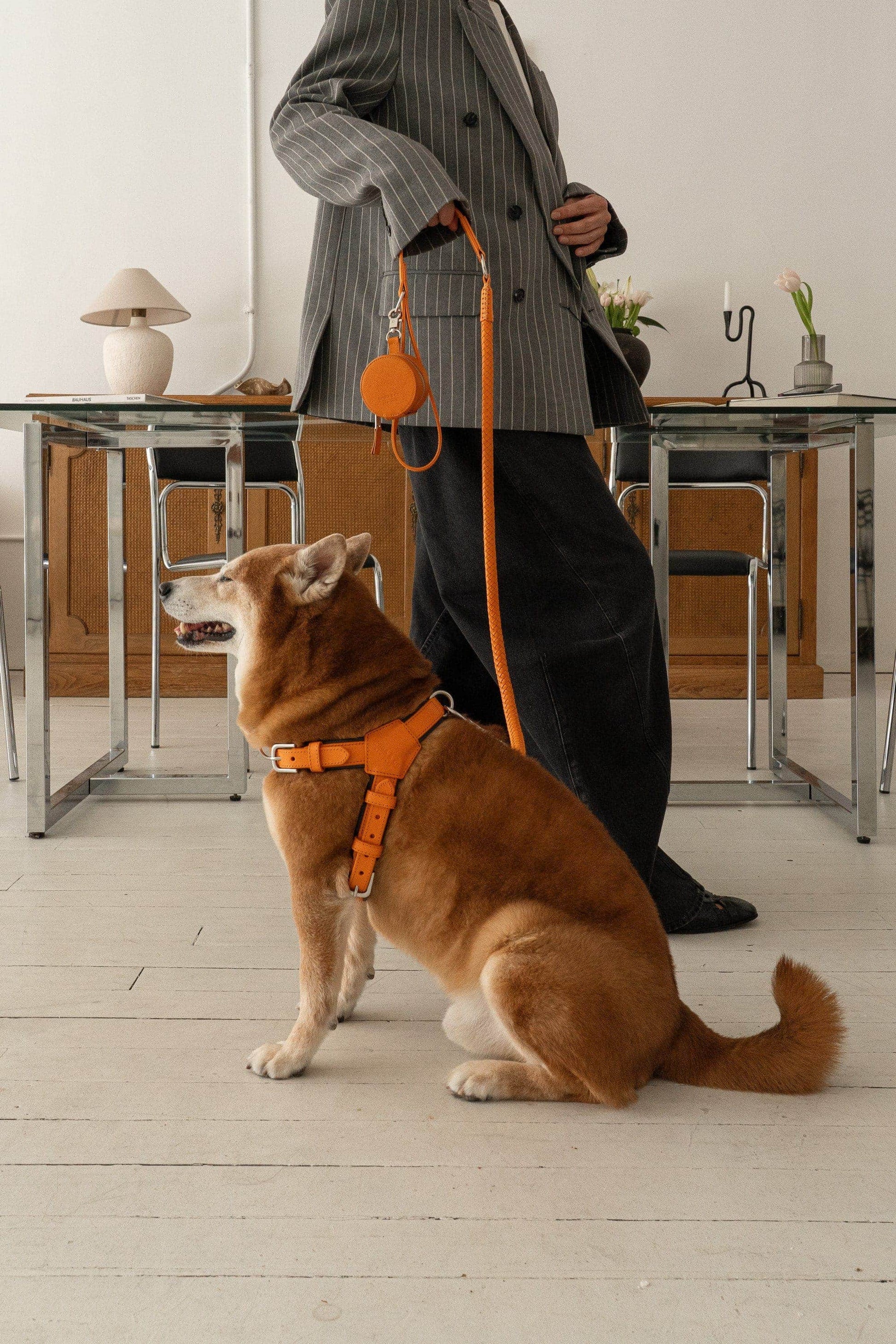 SHIBA & CO_ Milano Dog Harness in Italian Leather_Iconic Orange_HIRES-25