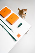 Collar Dog Walking Set in Italian Leather - Forest Green