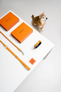 Collar Dog Walking Set in Italian Leather - Iconic Orange