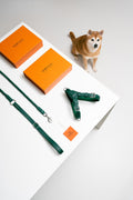 Harness Dog Walking Set in Italian Leather - Forest Green